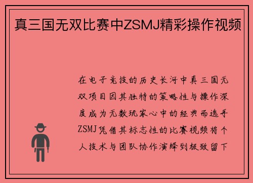 真三国无双比赛中ZSMJ精彩操作视频