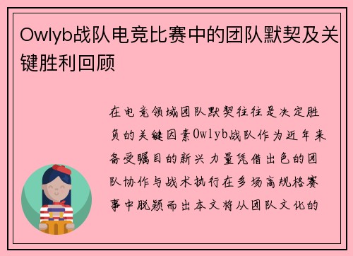 Owlyb战队电竞比赛中的团队默契及关键胜利回顾